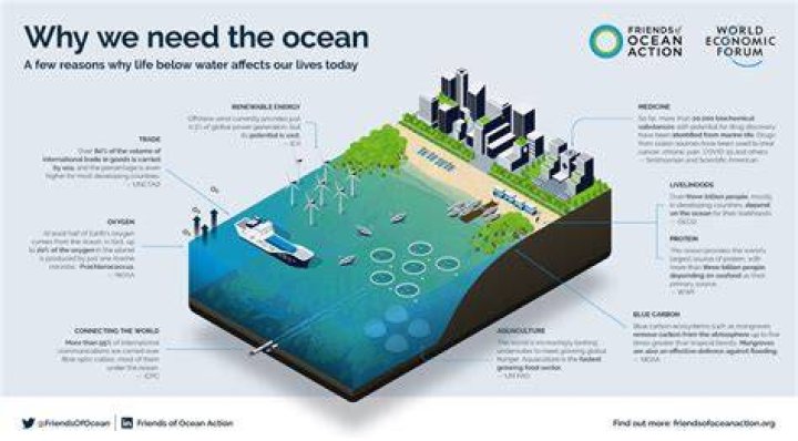 Why should oceanographers be concerned about the ocean?