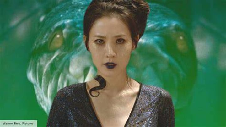 Why was Nagini in Godrics hollow?