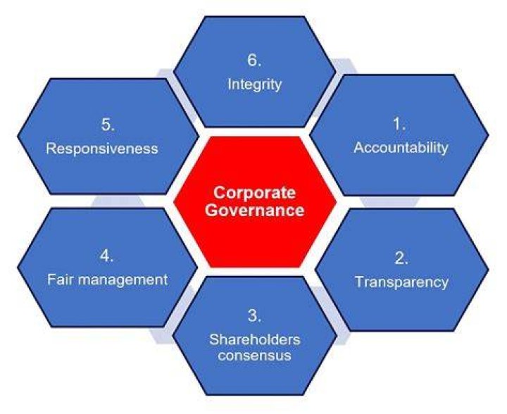 Why would Effective corporate governance be in place?