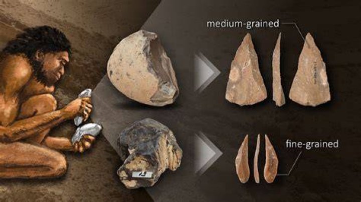 Why would Stone Age humans carve holes through the skull?