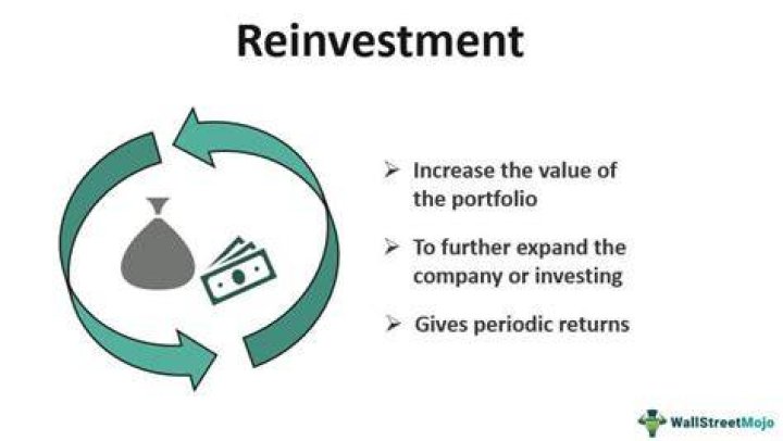 Why would the owner want to reinvest the money?