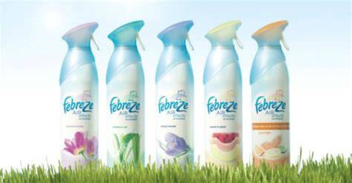 Why you should not use Febreze?