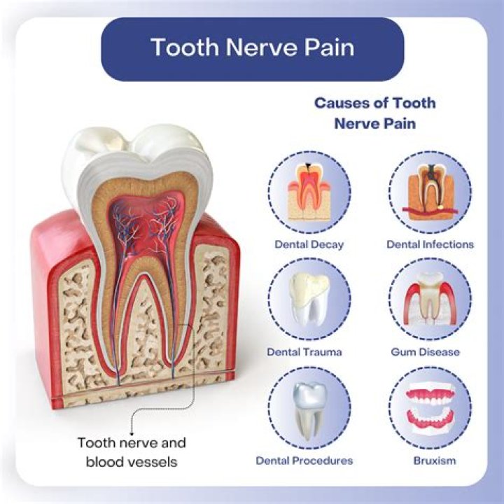 Will a damaged tooth nerve heal?