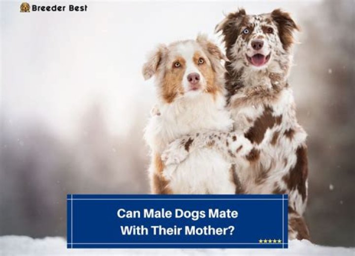 Will dogs mate with their offspring?