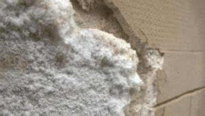 Will Drylok stop efflorescence?