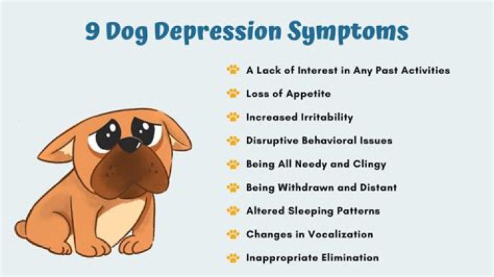 Will getting another dog help my depressed dog?