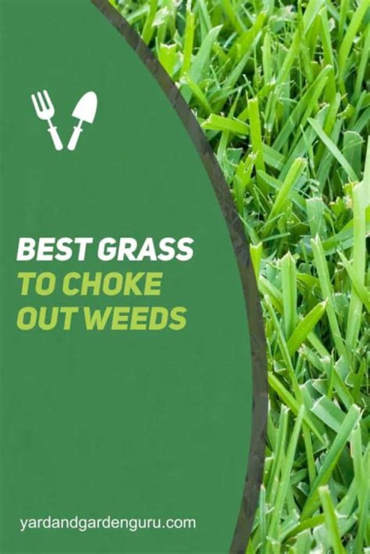 Will grass choke out weeds?