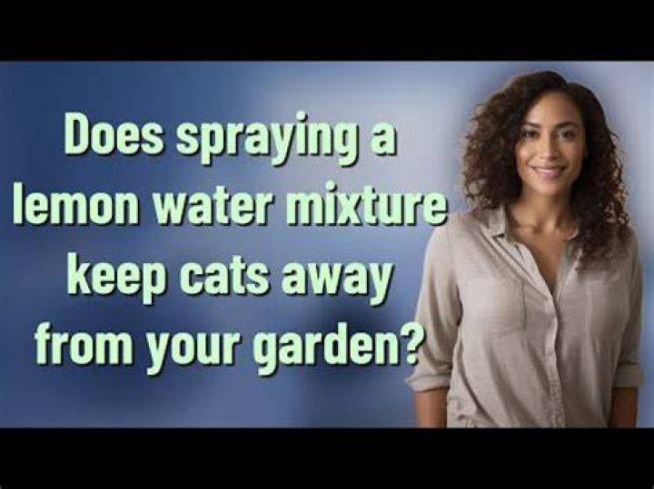 Will lemon juice keep cats away?