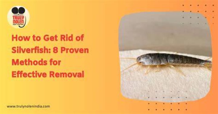 Will peppermint get rid of silverfish?