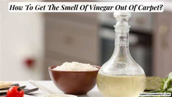Will vinegar smell come out of carpet?