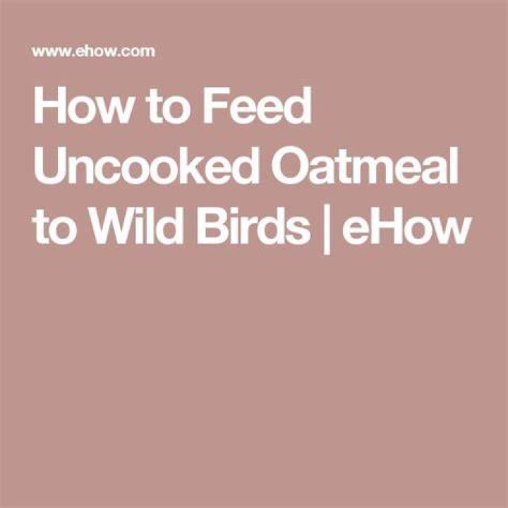 Will wild birds eat uncooked oatmeal?