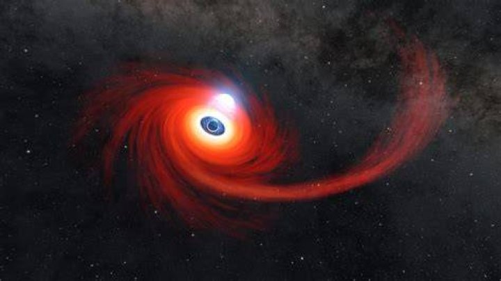 Would a black hole be painful?